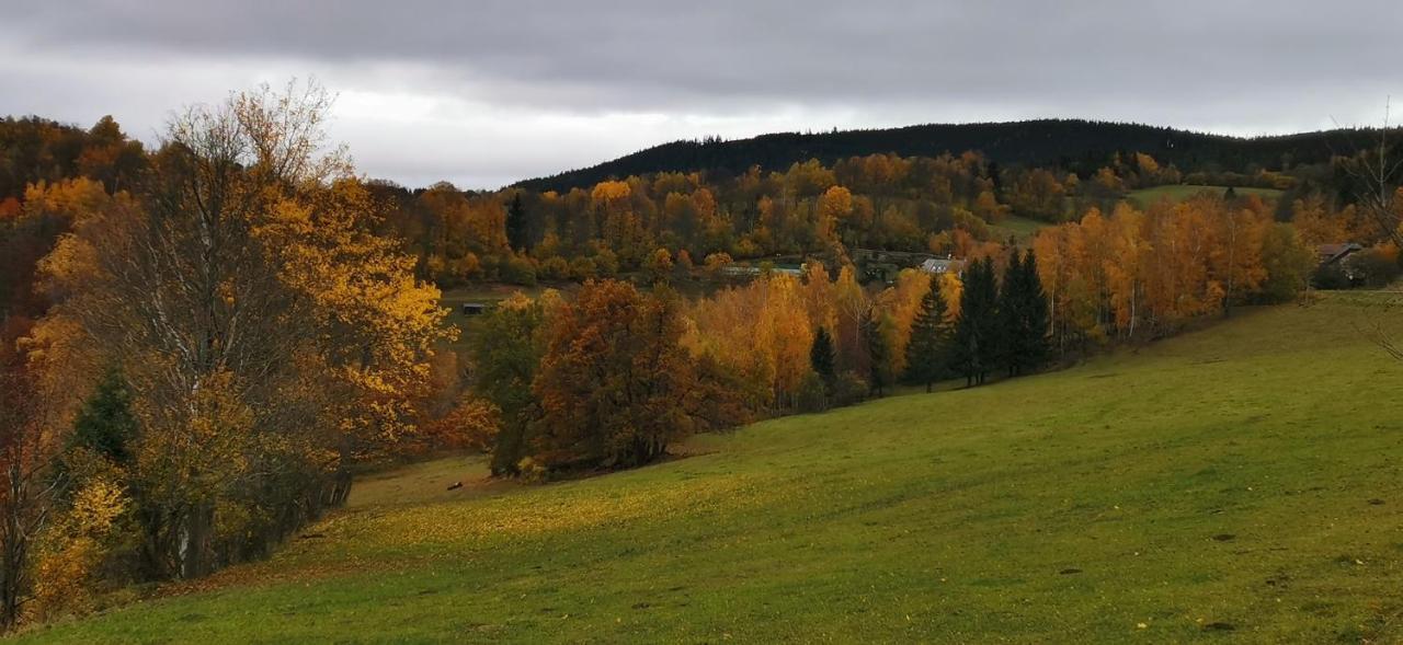 Hotel Zlaty Potok Nicov  Esterno foto