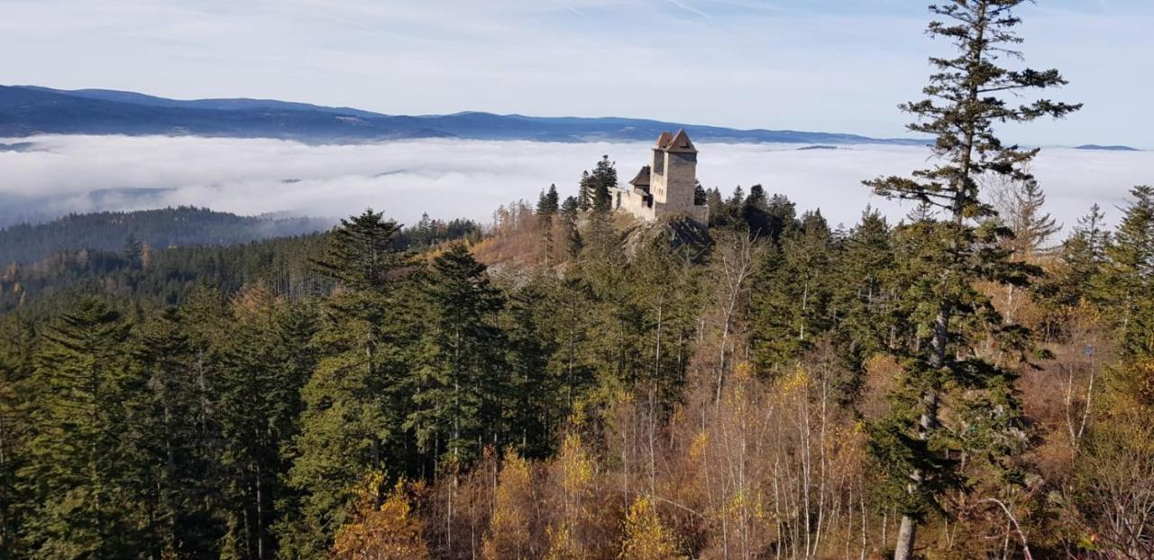 Hotel Zlaty Potok Nicov  Esterno foto