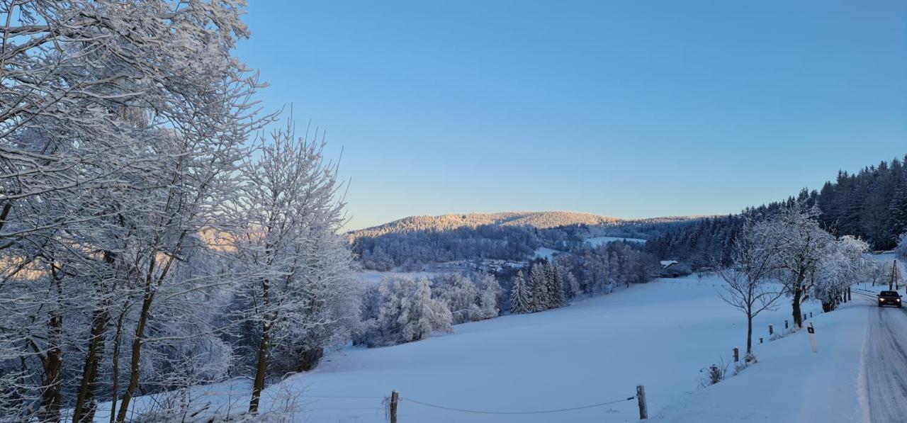 Hotel Zlaty Potok Nicov  Esterno foto