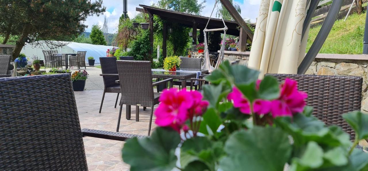 Hotel Zlaty Potok Nicov  Esterno foto
