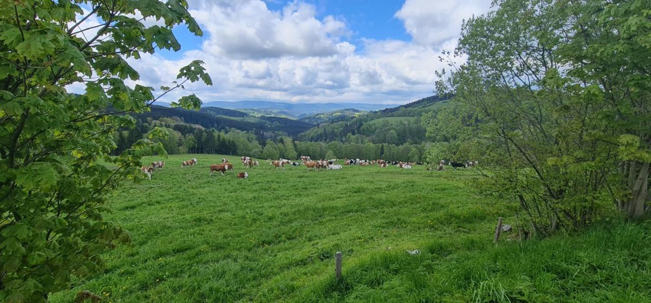 Hotel Zlaty Potok Nicov  Esterno foto